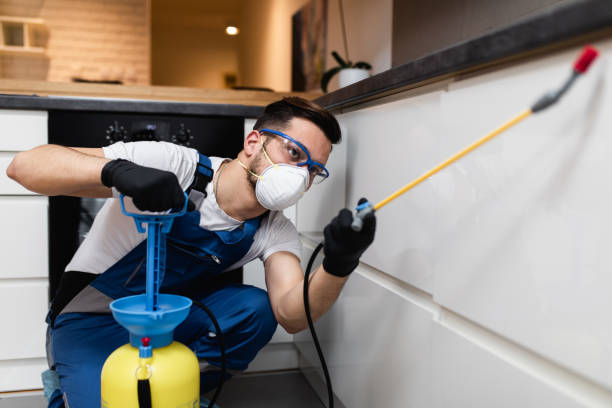 Best Residential Pest Control  in Madisonville, LA