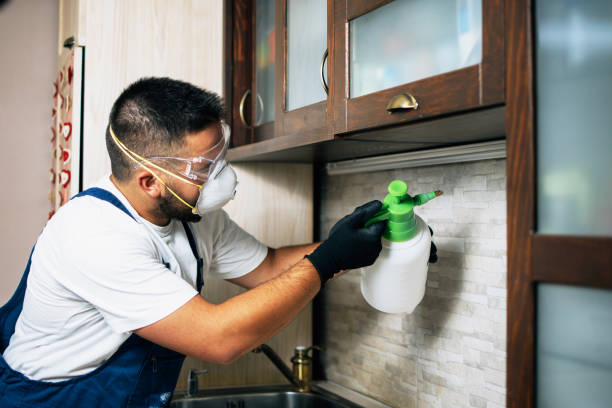 Best Affordable Pest Control Services  in Madisonville, LA