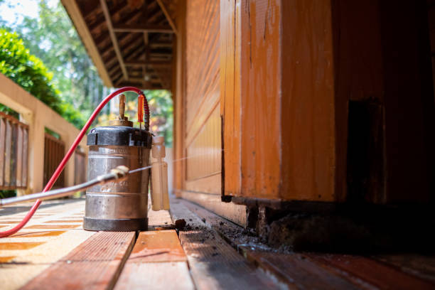 Best Affordable Exterminators  in Madisonville, LA