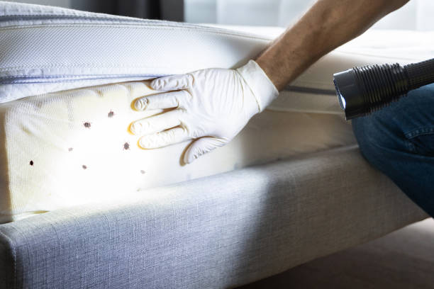 Best Pest Control Near Me  in Madisonville, LA