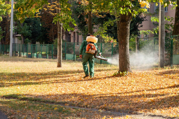 Bird Control in Madisonville, LA