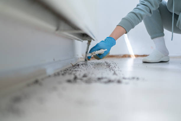 Best Exterminator Services  in Madisonville, LA