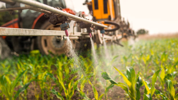 Best Insect Control  in Madisonville, LA